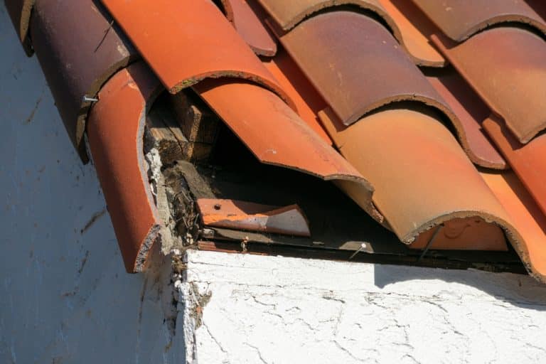 Damaged,Clay,Roof,Tile